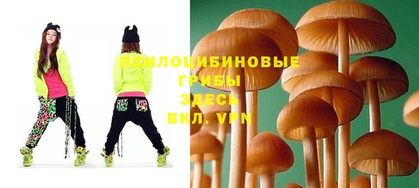спиды Абинск