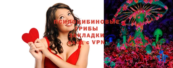 бошки Пересвет