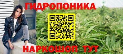 гидропоника Гагарин