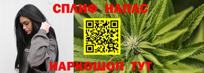 ALPHA-PVP Гатчина