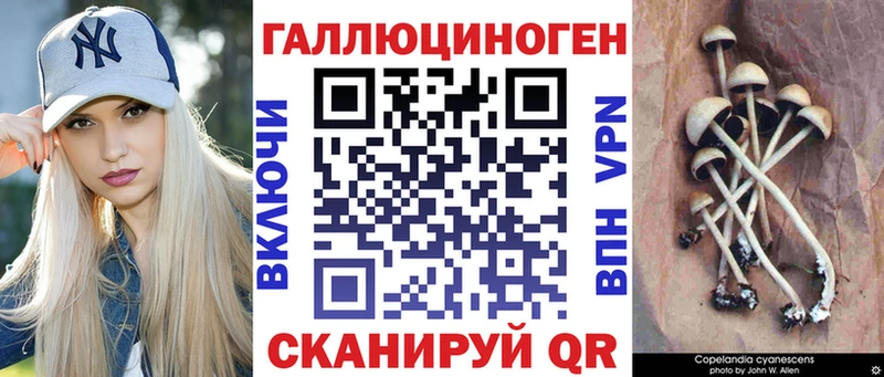 площадка Telegram  Ялуторовск  Галлюциногенные грибы Psilocybe 