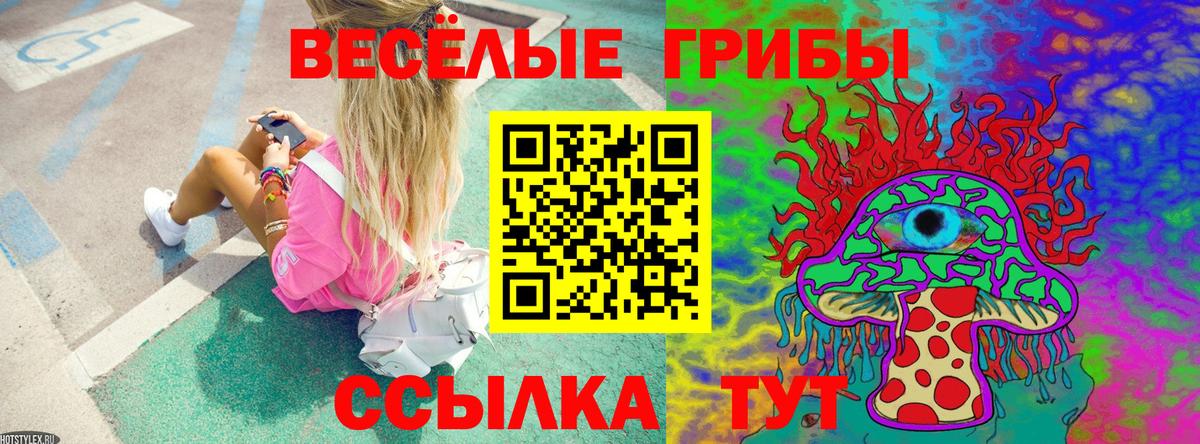 Ялуторовск  Галлюциногенные грибы Cubensis  Галлюциногенные грибы Cubensis  Вход с VPN 